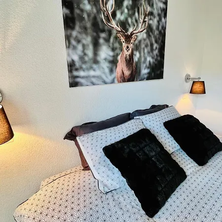 Renovated Flat In Center Of The Village * Saas Fee