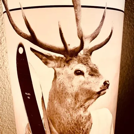 아파트 Renovated Flat In Center Of The Village *